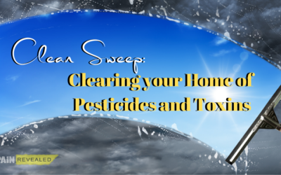 Clean Sweep: Clearing your Home of Pesticides and Toxins