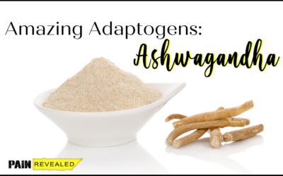 Amazing Adaptogens: Ashwagandha ﻿