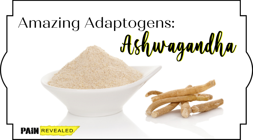 Amazing Adaptogens: Ashwagandha ﻿